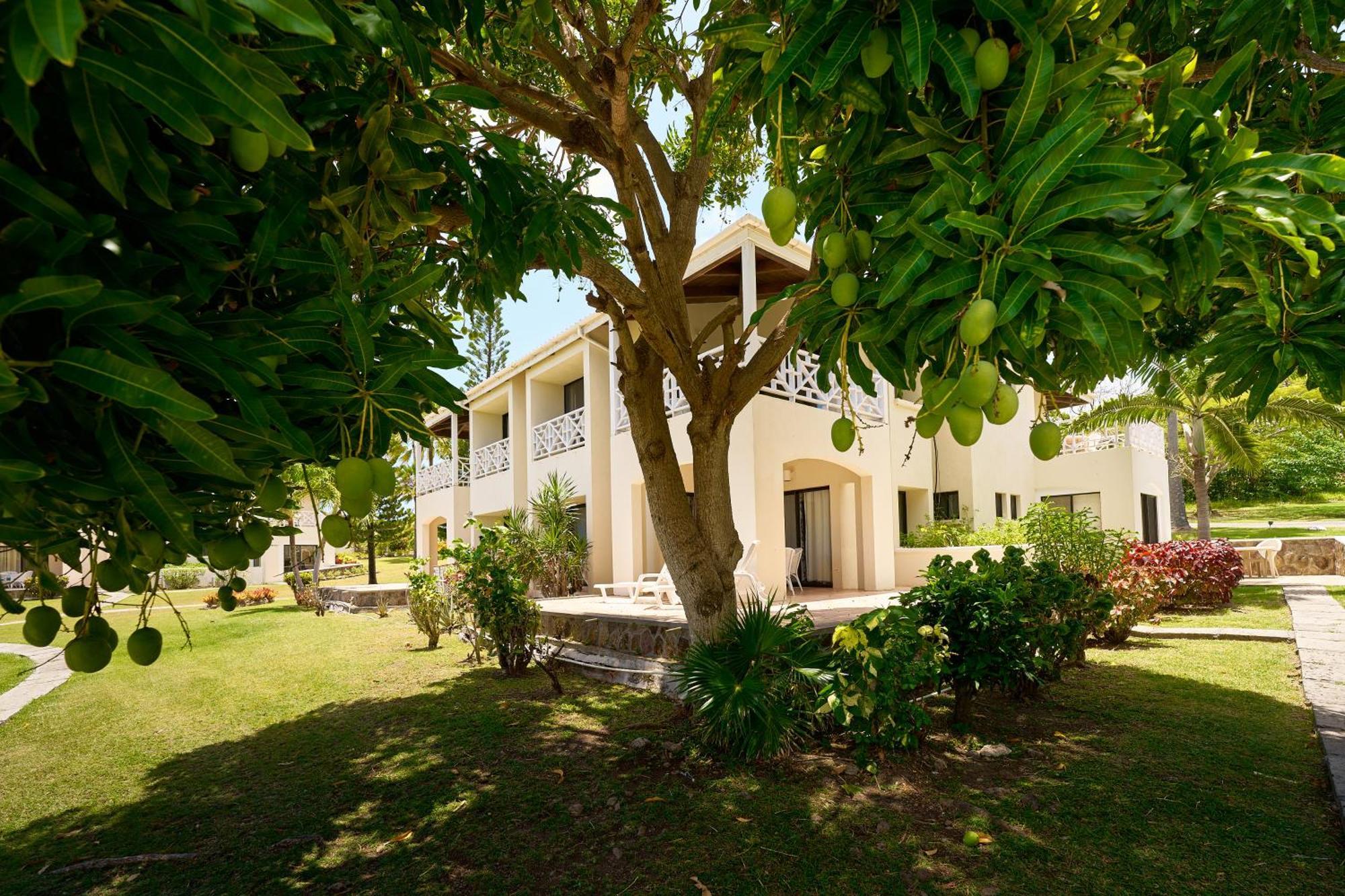 Mount Nevis Hotel Bagian luar foto